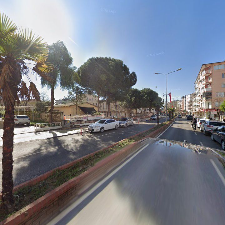 Fotoğraf 10