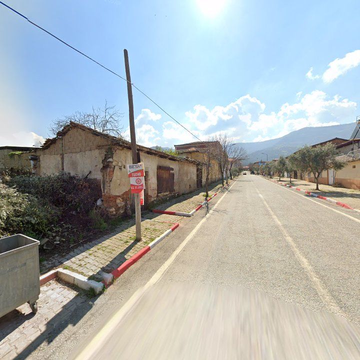 Fotoğraf 6