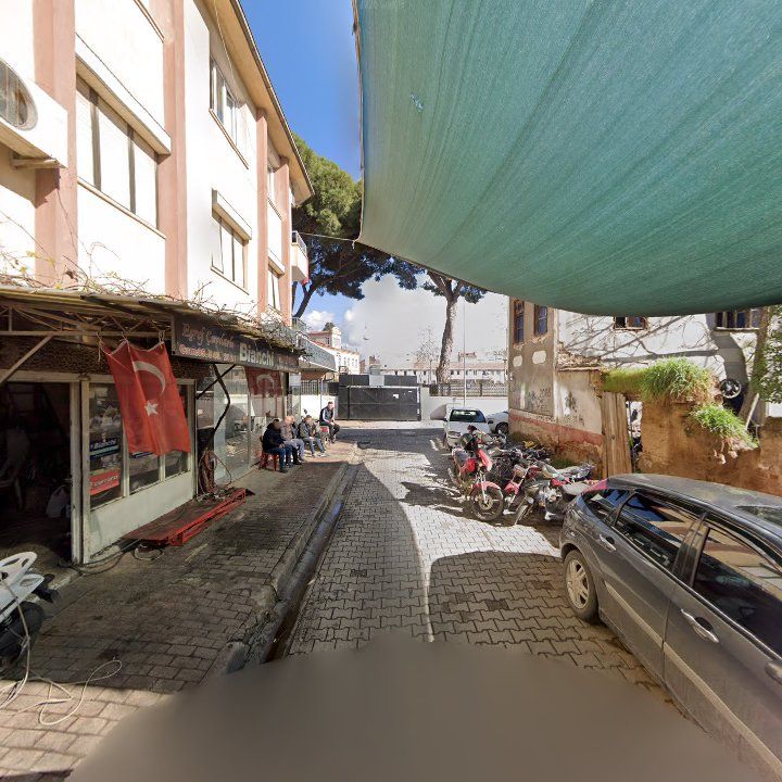 Fotoğraf 10