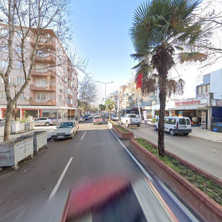 Fotoğraf 7