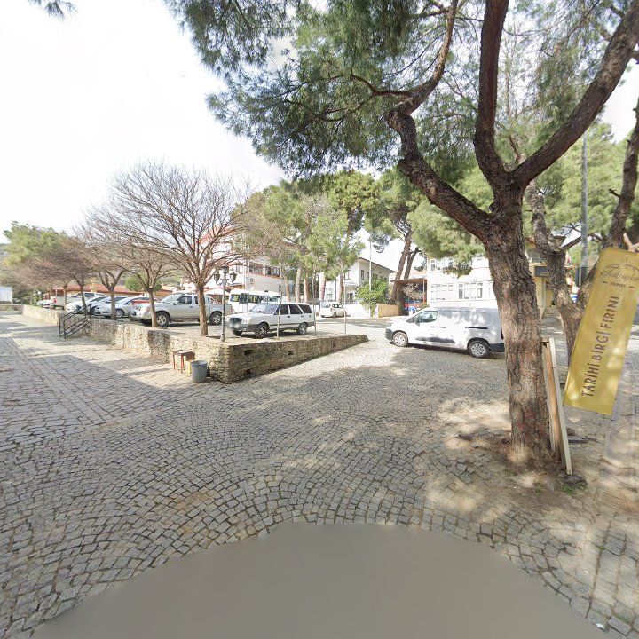 Fotoğraf 9