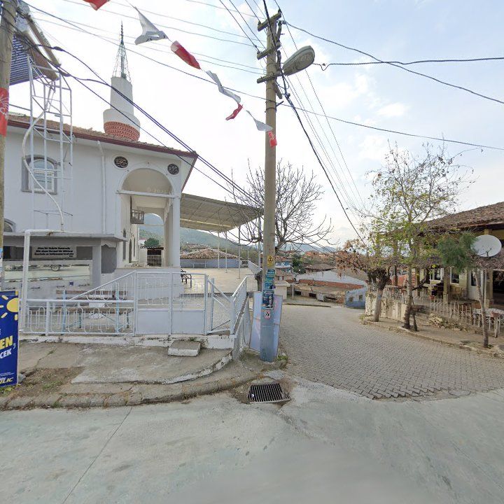 Fotoğraf 5