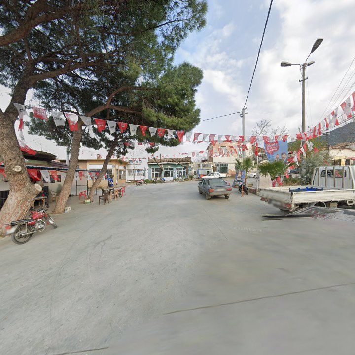 Fotoğraf 3