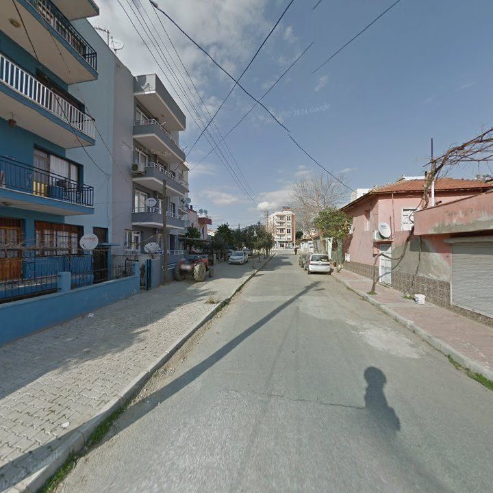 Fotoğraf 5