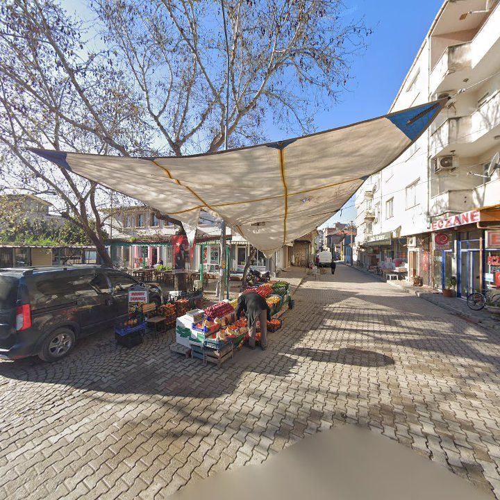 Fotoğraf 7