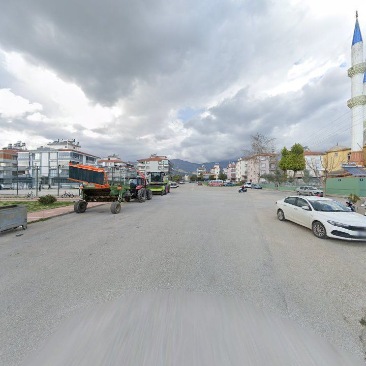 Fotoğraf 8