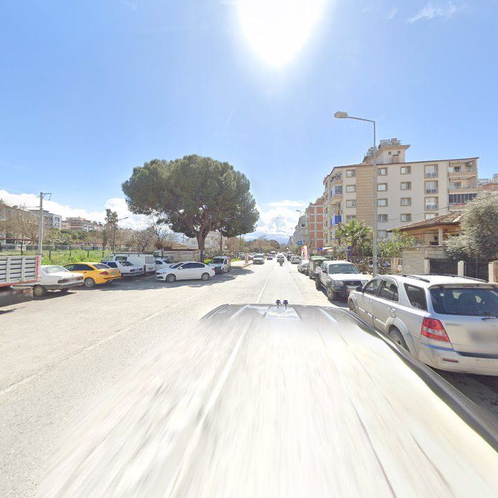 Fotoğraf 7