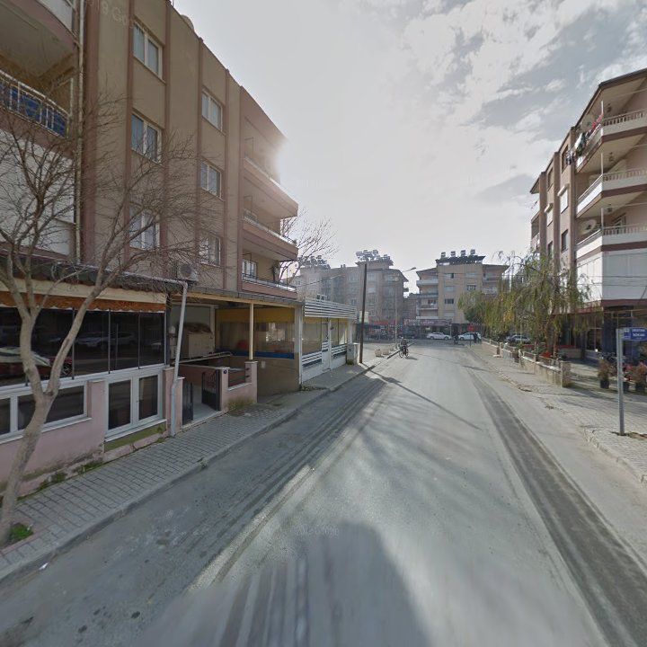 Fotoğraf 11