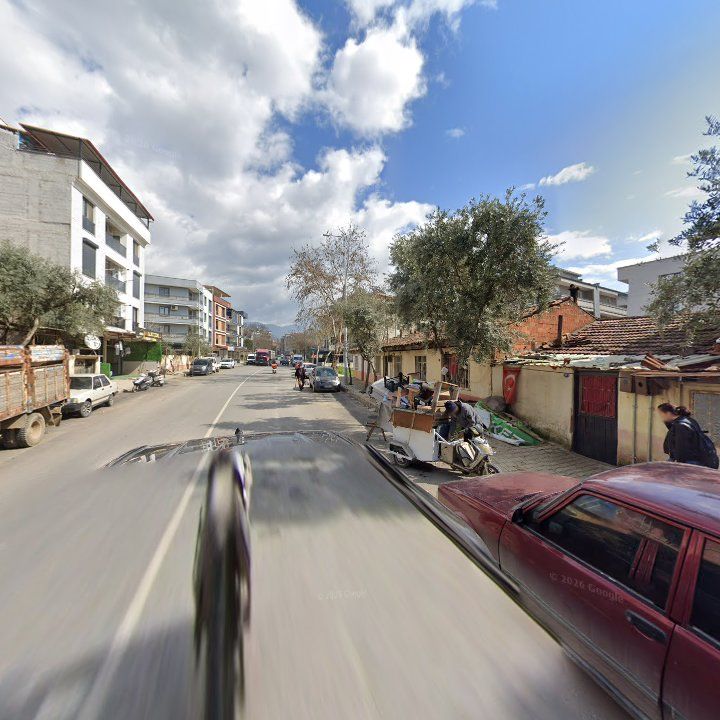 Fotoğraf 9