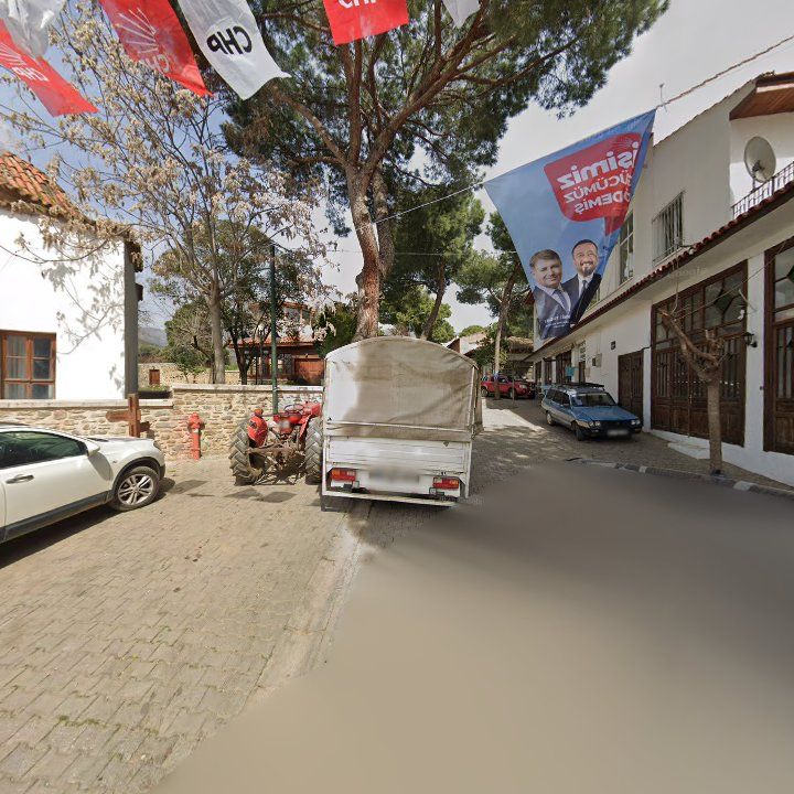 Fotoğraf 7