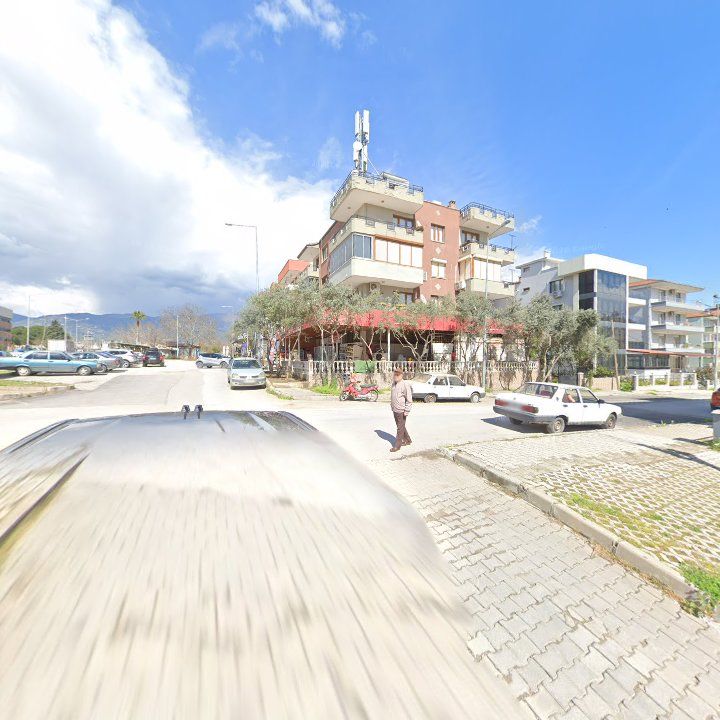 Fotoğraf 8