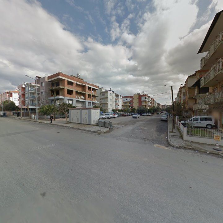 Fotoğraf 8