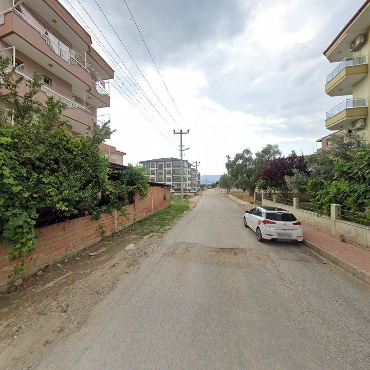 Fotoğraf 8