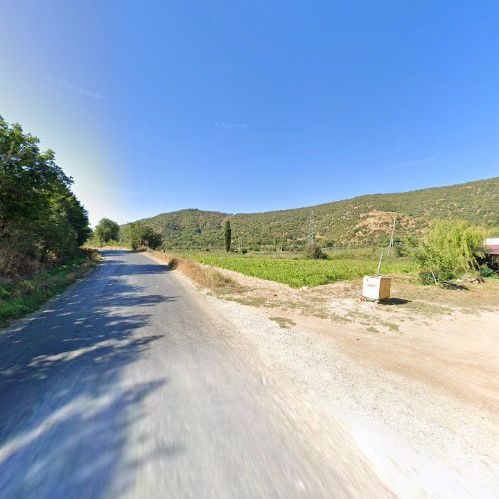 Fotoğraf 8