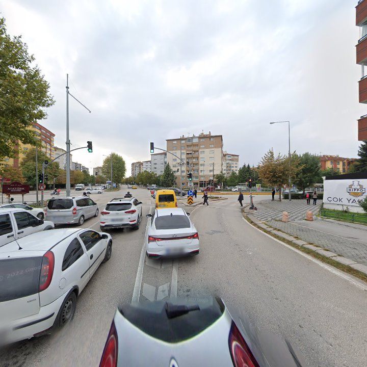 Fotoğraf 11