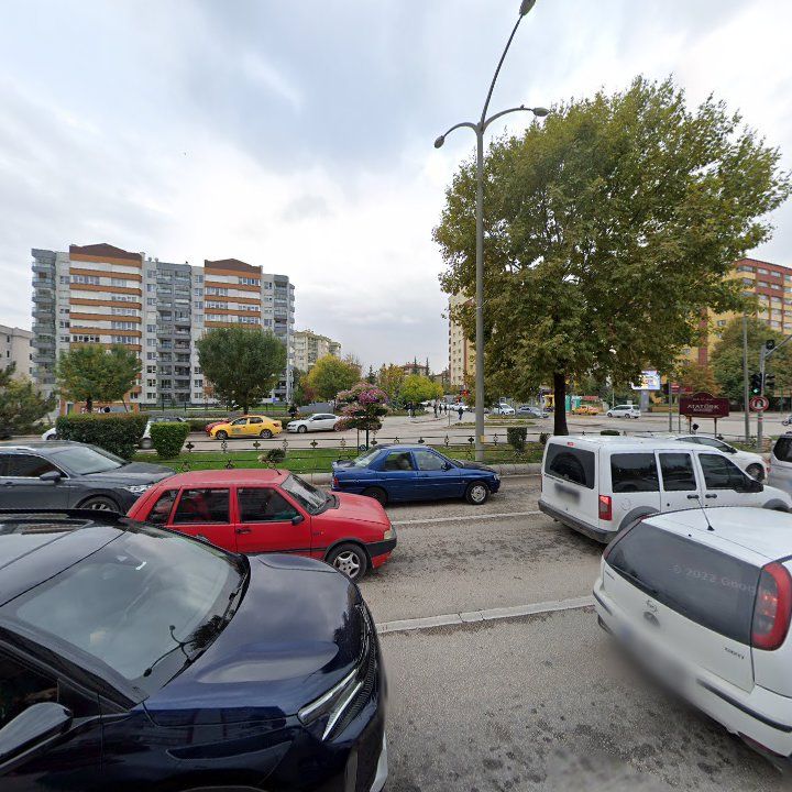Fotoğraf 10