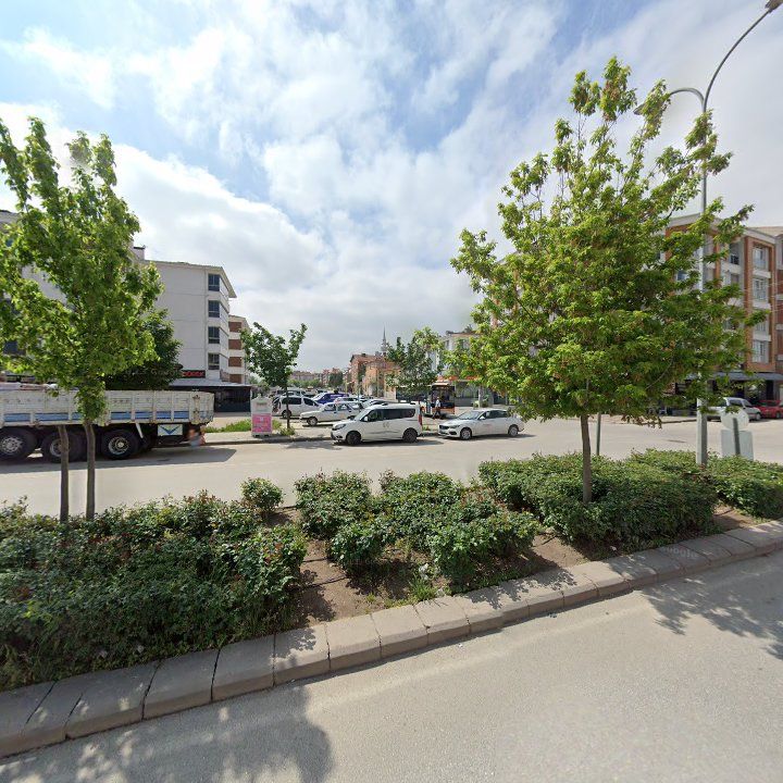 Fotoğraf 8