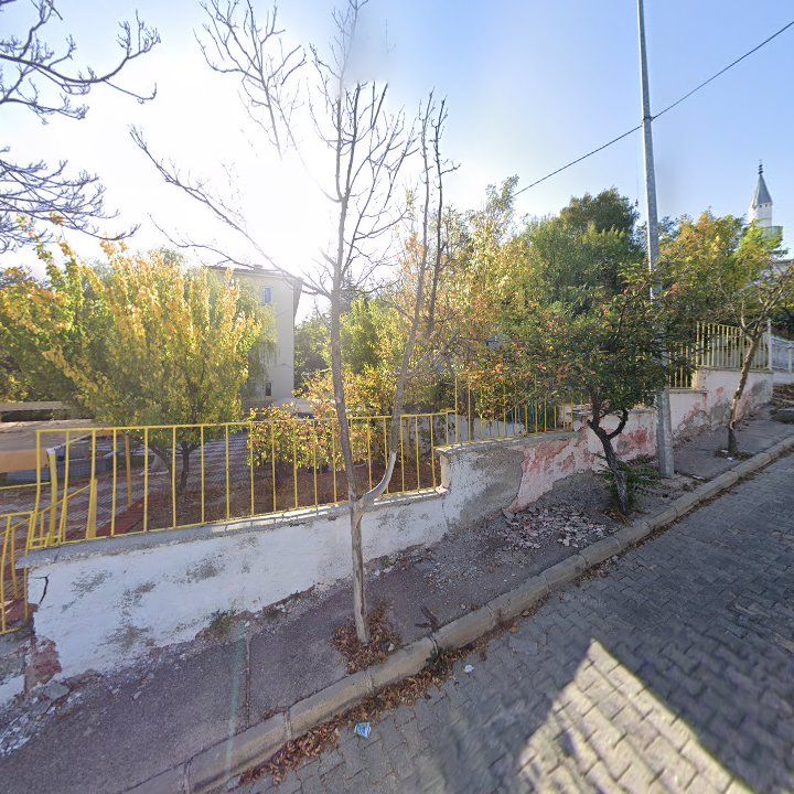Fotoğraf 16