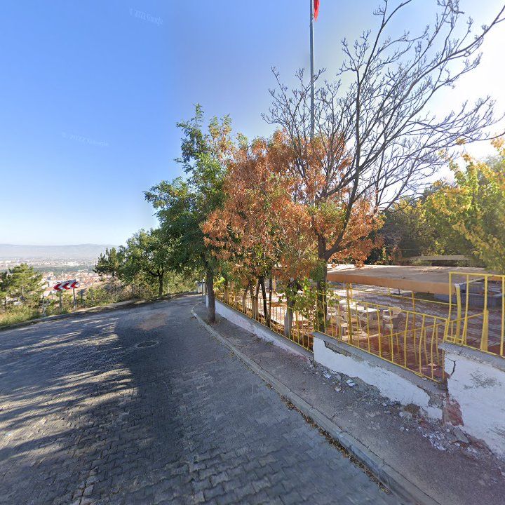 Fotoğraf 15