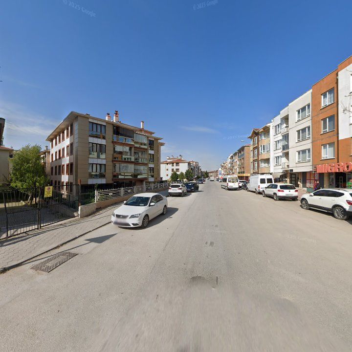 Fotoğraf 10