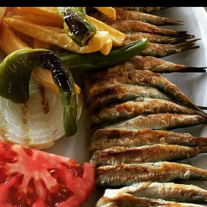 Fotoğraf 8