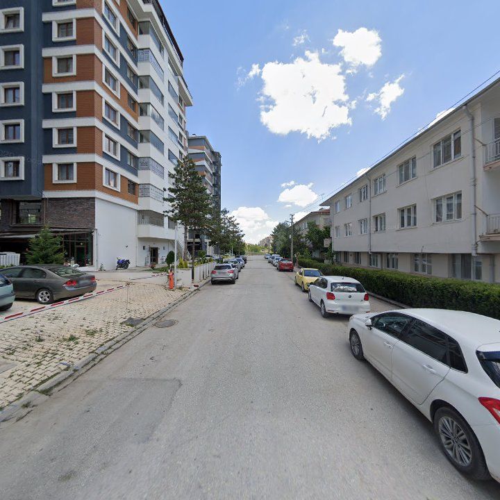 Fotoğraf 12