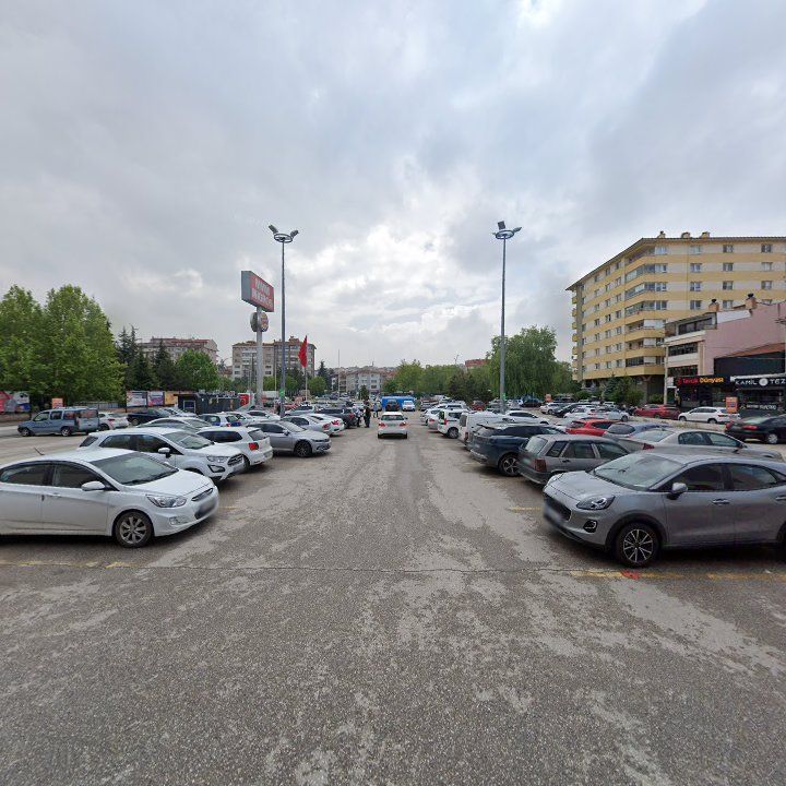 Fotoğraf 8
