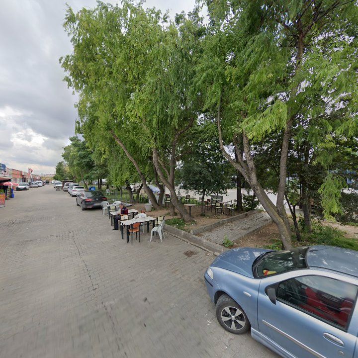 Fotoğraf 9