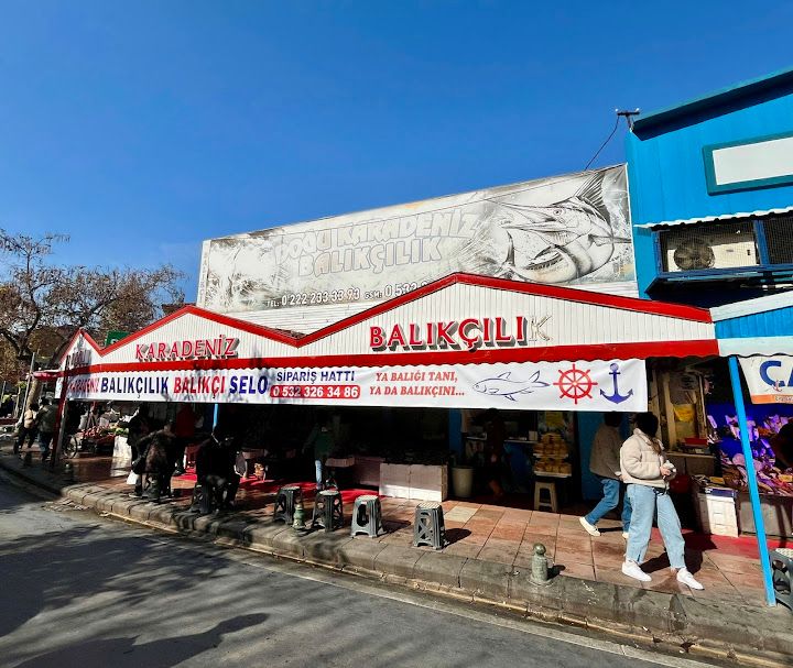 Doğu Karadeniz Balıkçılık