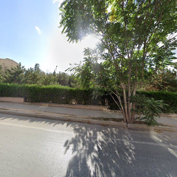 Fotoğraf 11