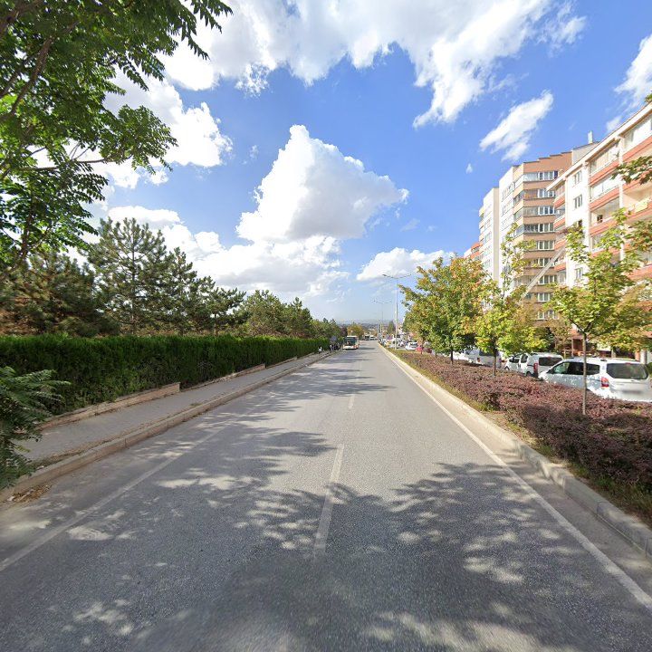 Fotoğraf 12