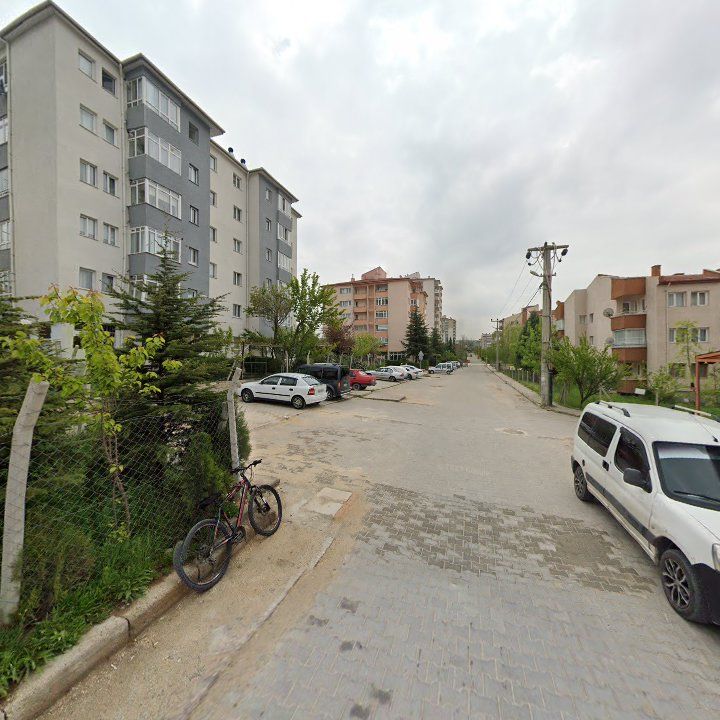 Fotoğraf 10
