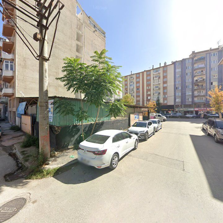 Fotoğraf 11