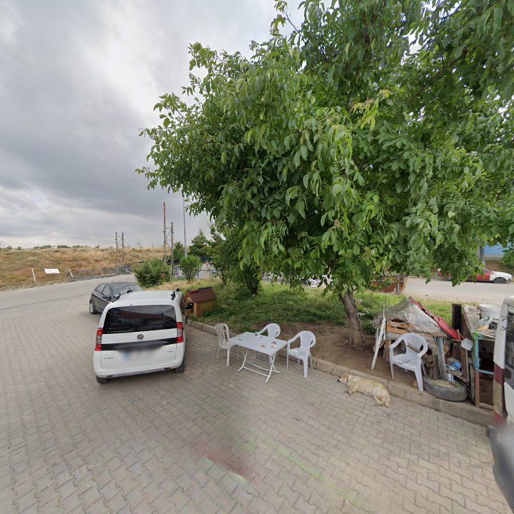 Fotoğraf 8