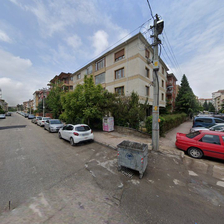 Fotoğraf 10