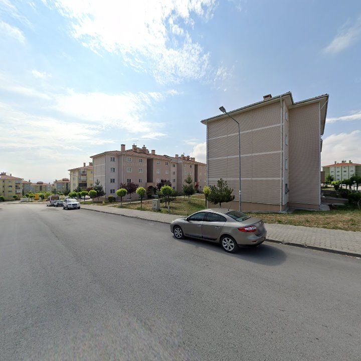 Fotoğraf 13
