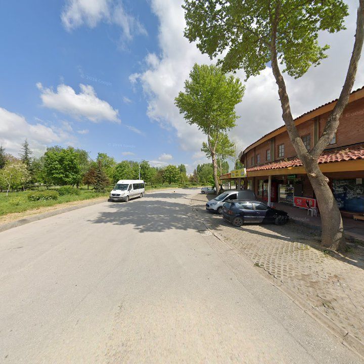 Fotoğraf 8