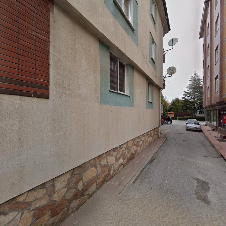 Fotoğraf 10