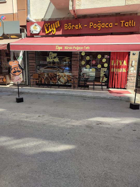 LİYA BÖREK