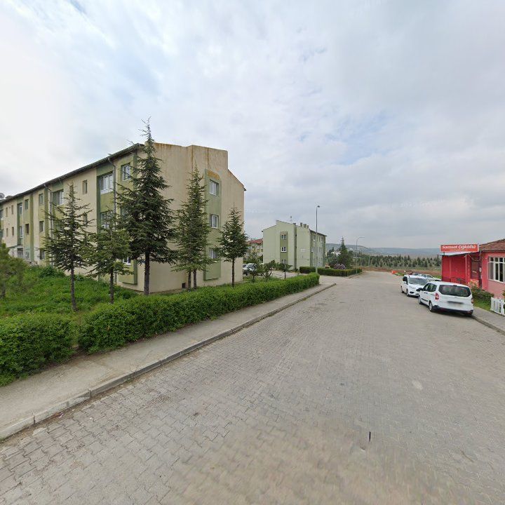 Fotoğraf 10