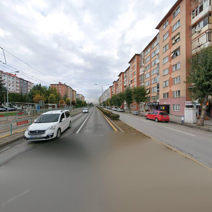 Fotoğraf 9