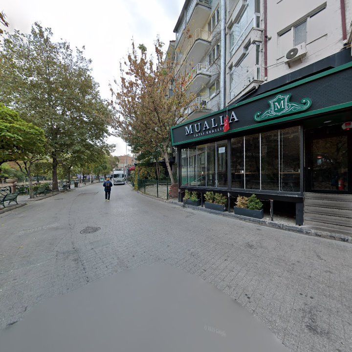 Fotoğraf 13