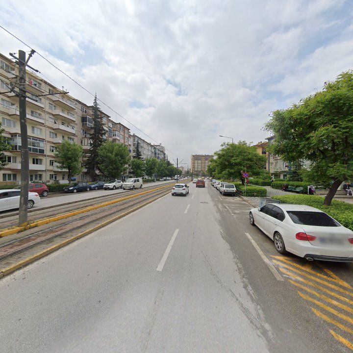 Fotoğraf 12