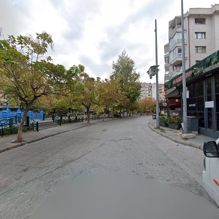 Fotoğraf 11