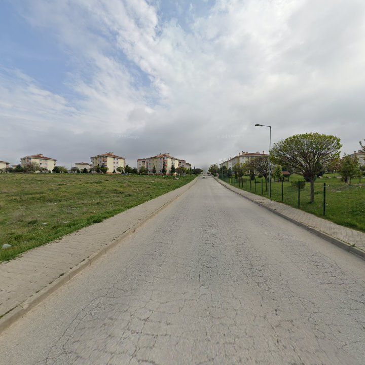 Fotoğraf 11