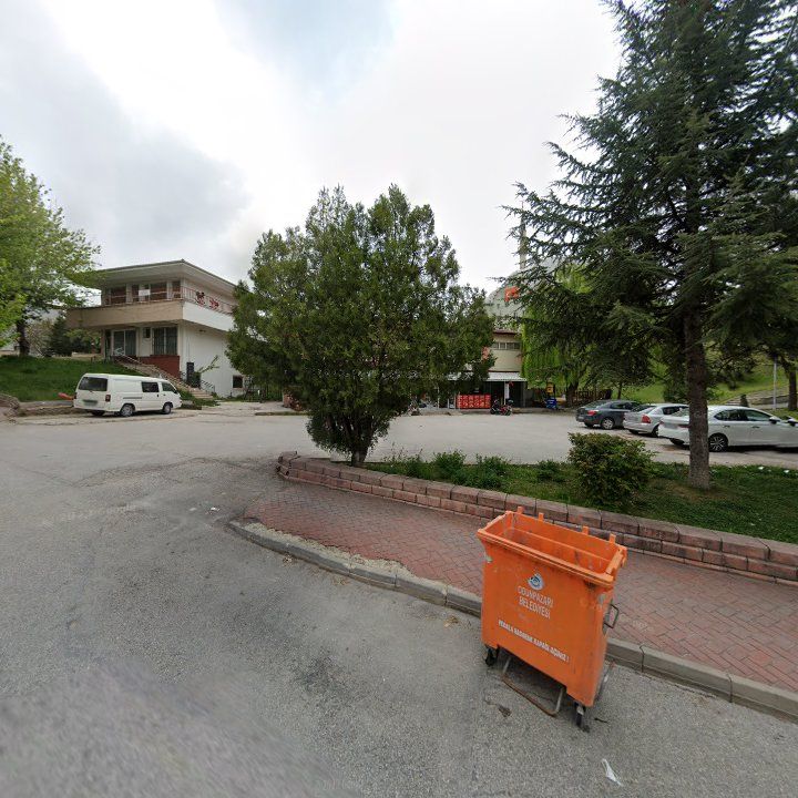 Fotoğraf 7
