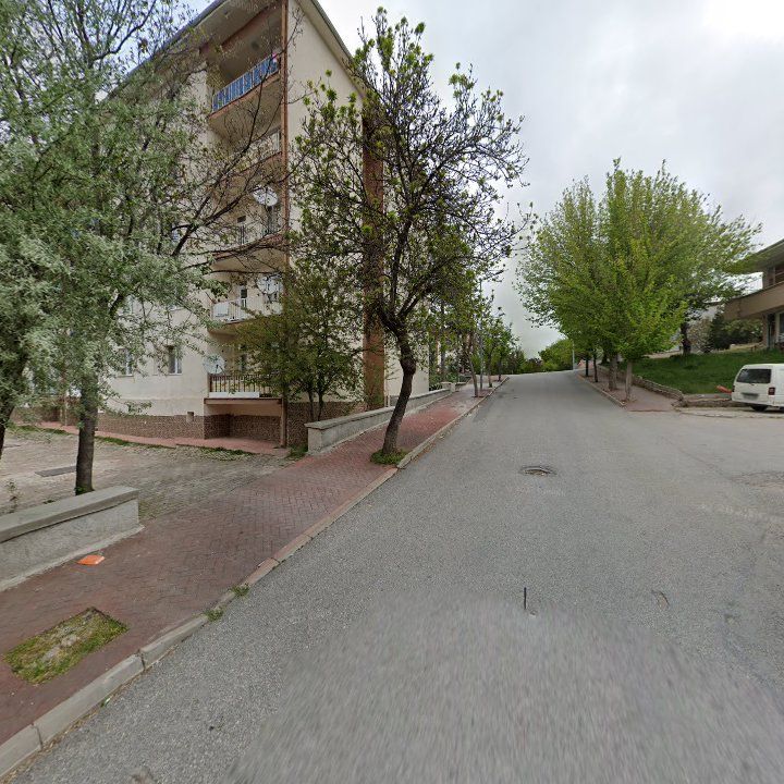 Fotoğraf 10