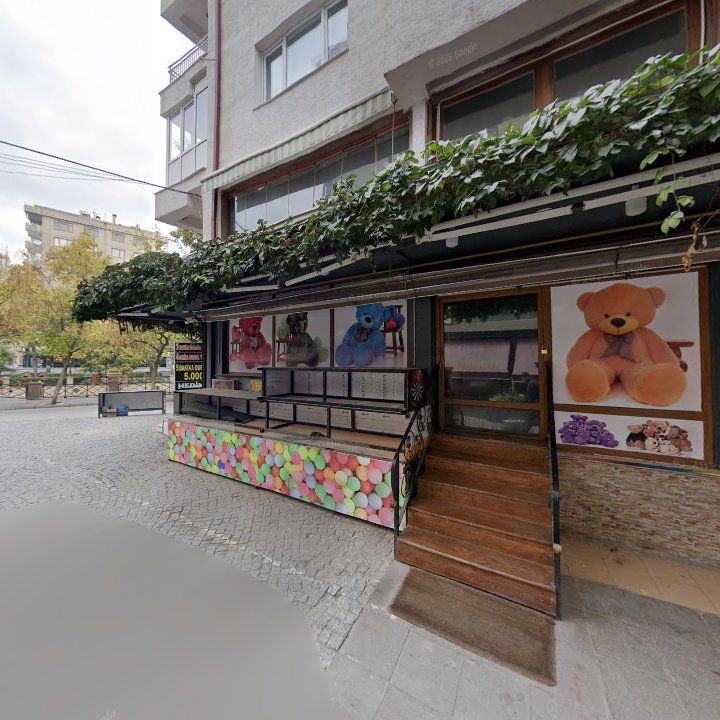Fotoğraf 8