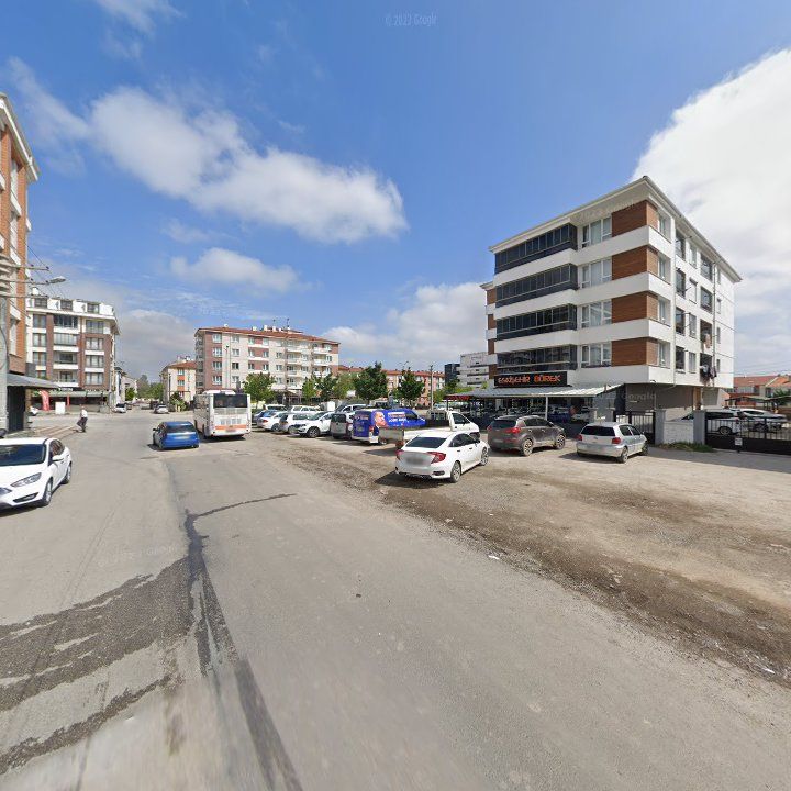 Fotoğraf 8