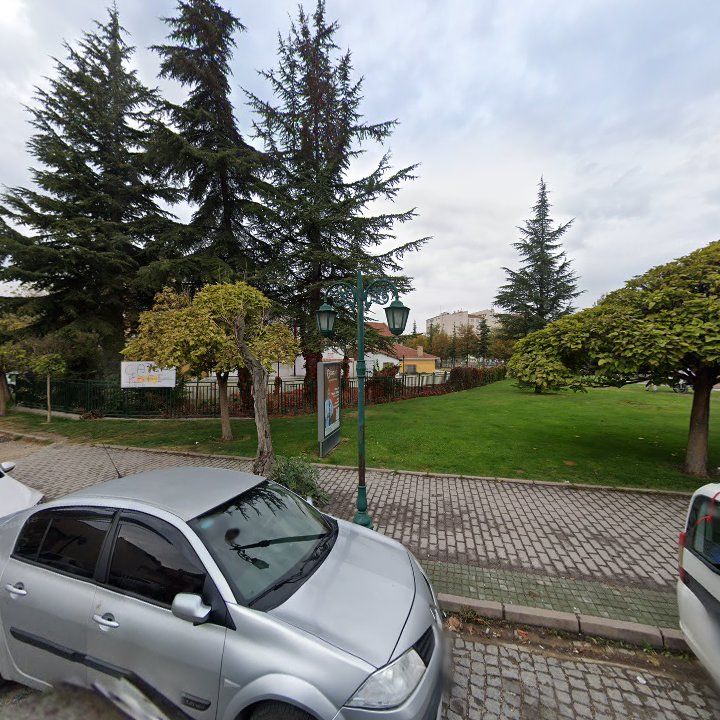 Fotoğraf 10
